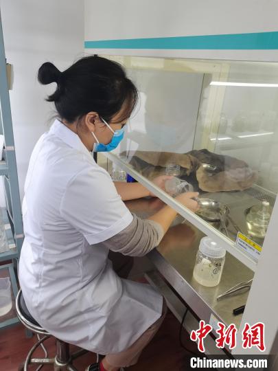 实验室中的陈绪玲。受访者供图