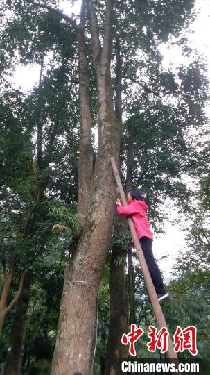 在野外工作的谷海燕。受访者供图