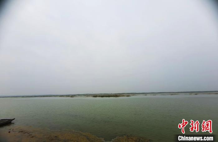 图为远眺鄂尔多斯遗鸥国家级自然保护区湿地。张林虎 摄