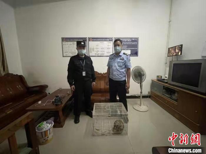 图为民警救助蜂猴。德宏边境管理支队供图