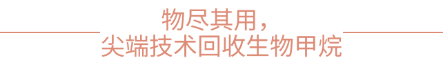 d8b2d78e87c733fa6899dfa65c66a5fe.png