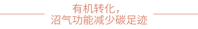 aefe344843f2952d5982fb6b9186f2bf.png