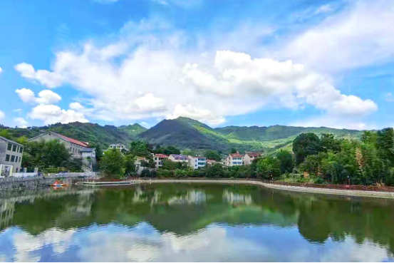 桐庐钟山乡：灰山白水到绿水青山变金山银山