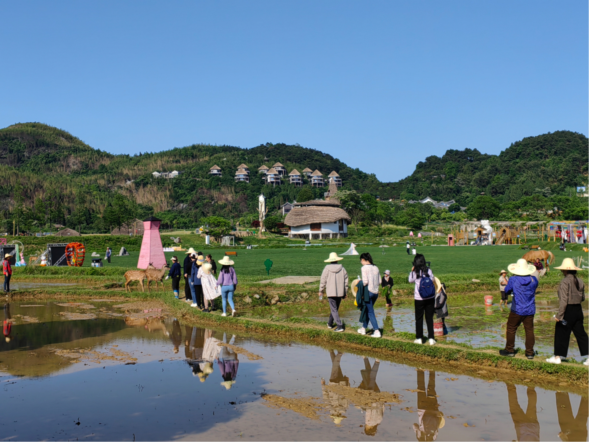 CQ9电子 CQ9传奇电子因地制宜发展特色产业广西全州乡村振兴画卷徐徐展开(图4)