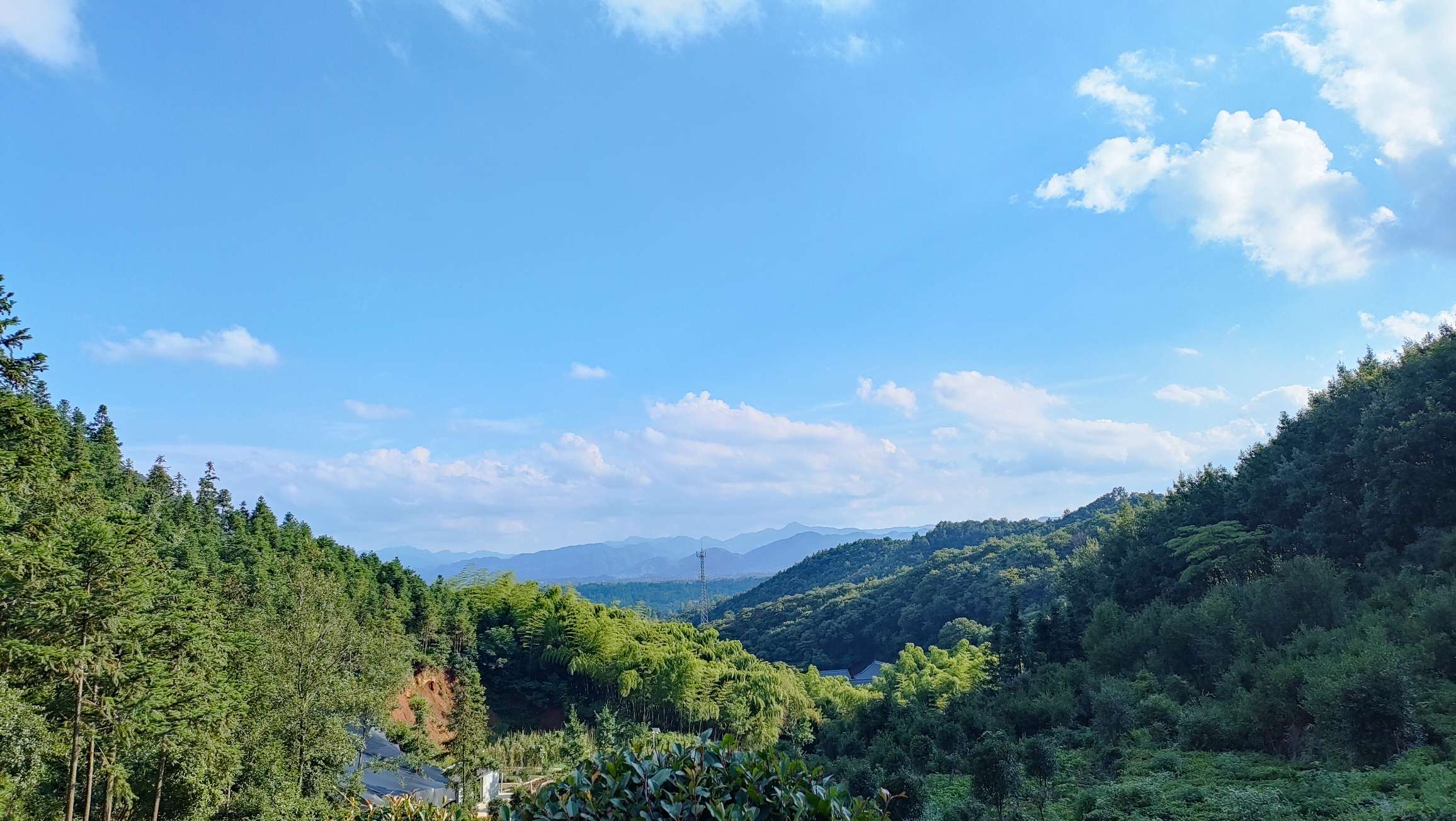 “图读”北国的江南之秋美丽乡村—信阳