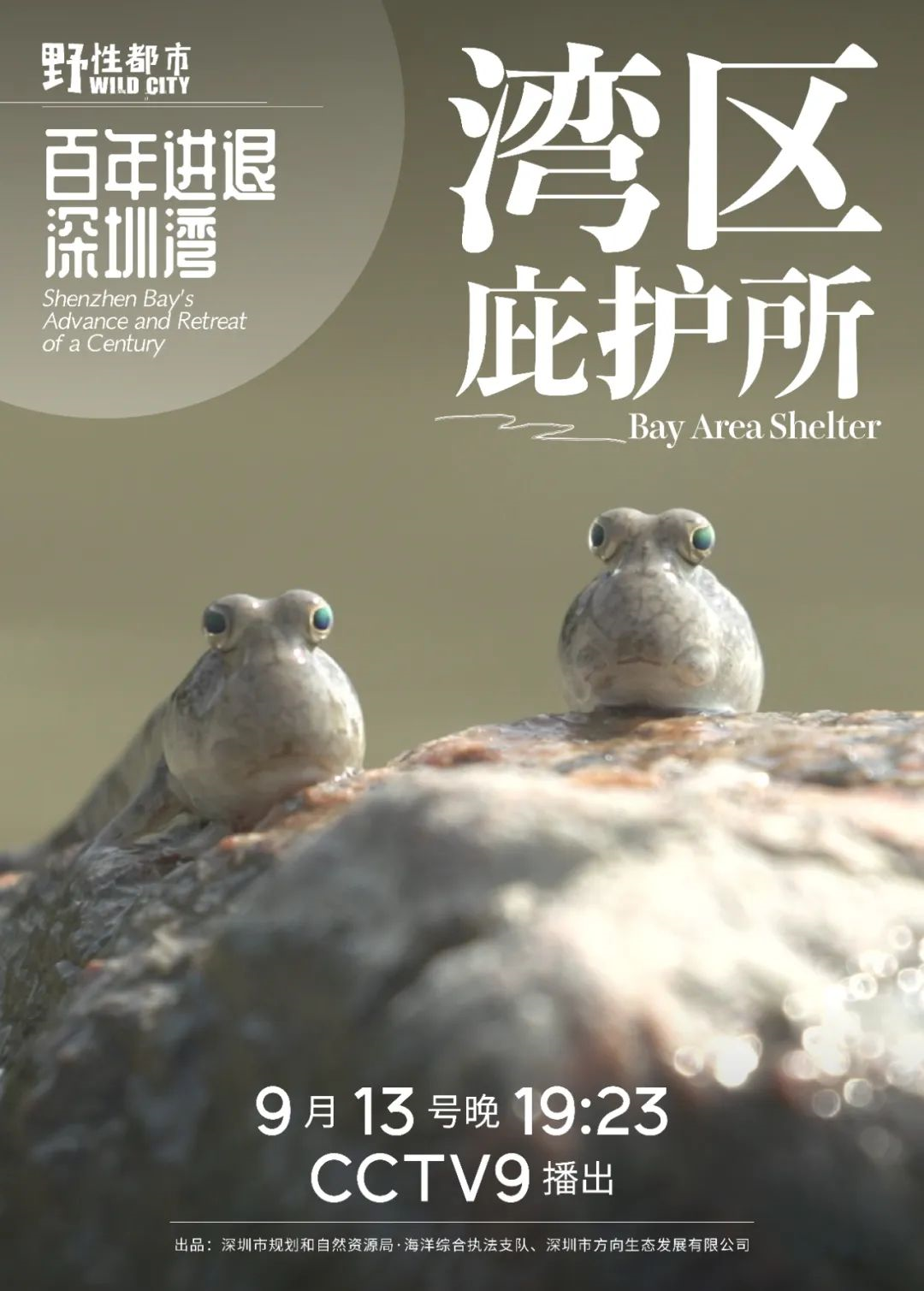 讲述深圳自然故事的系列纪录片