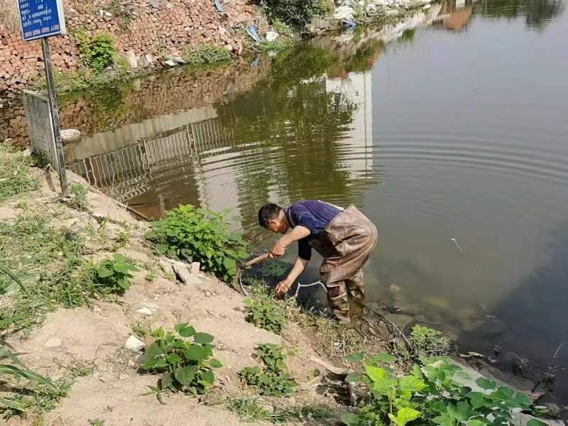 果博黄金水道今胜昔芒稻河变身美丽景观河丨美丽河湖优在哪？(图4)