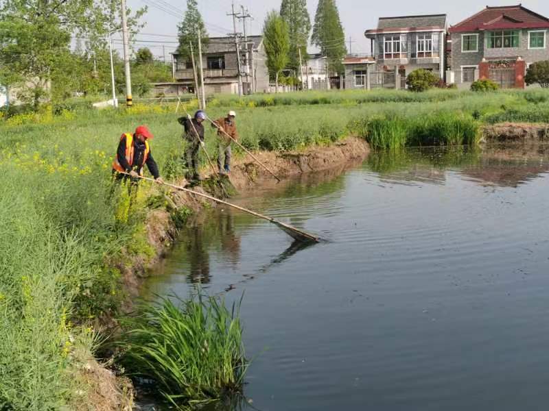 果博黄金水道今胜昔芒稻河变身美丽景观河丨美丽河湖优在哪？(图5)