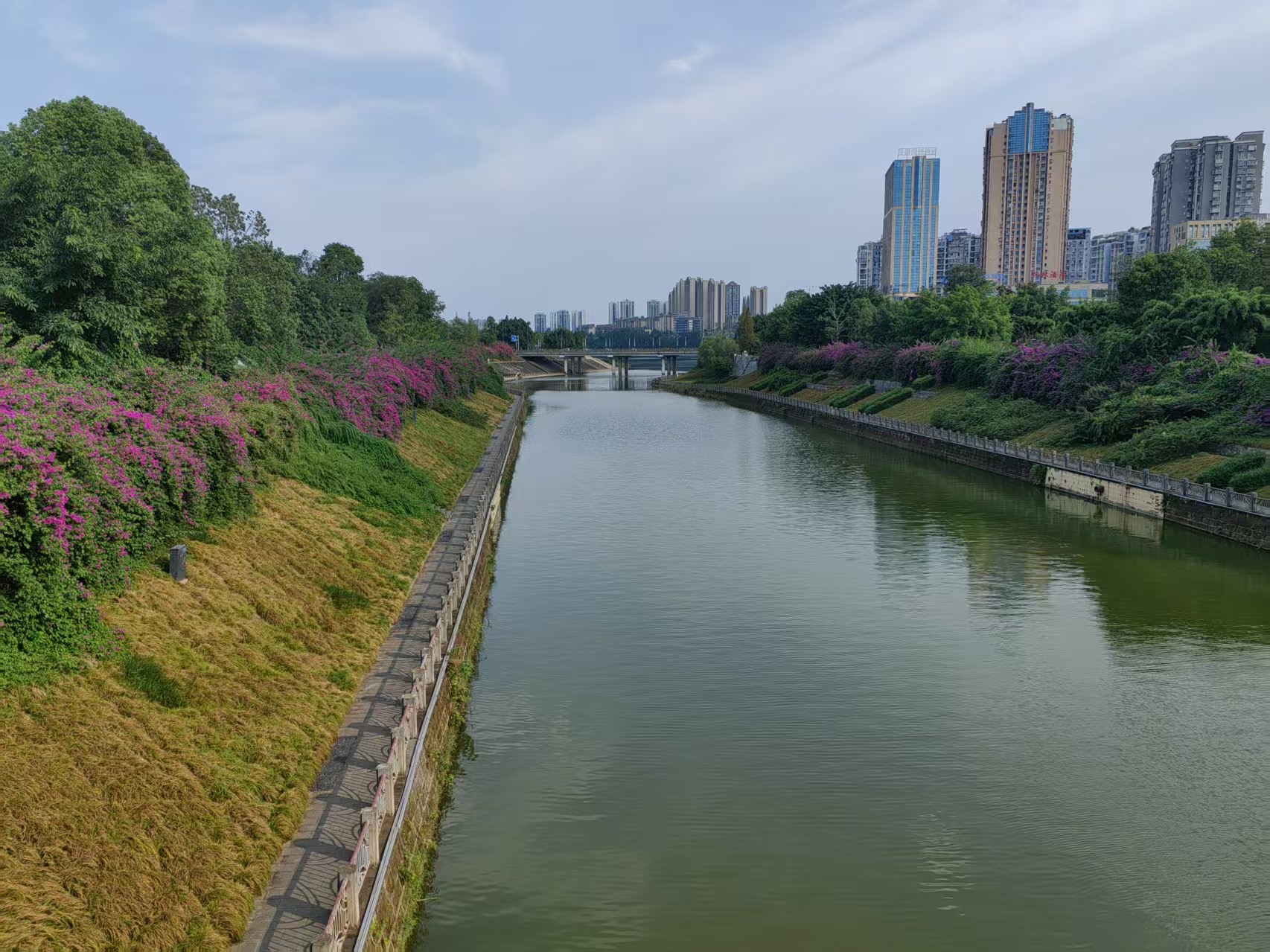 星空体育官网加快城市排水管网建设补齐雨污分流短板｜两会线;(图5)