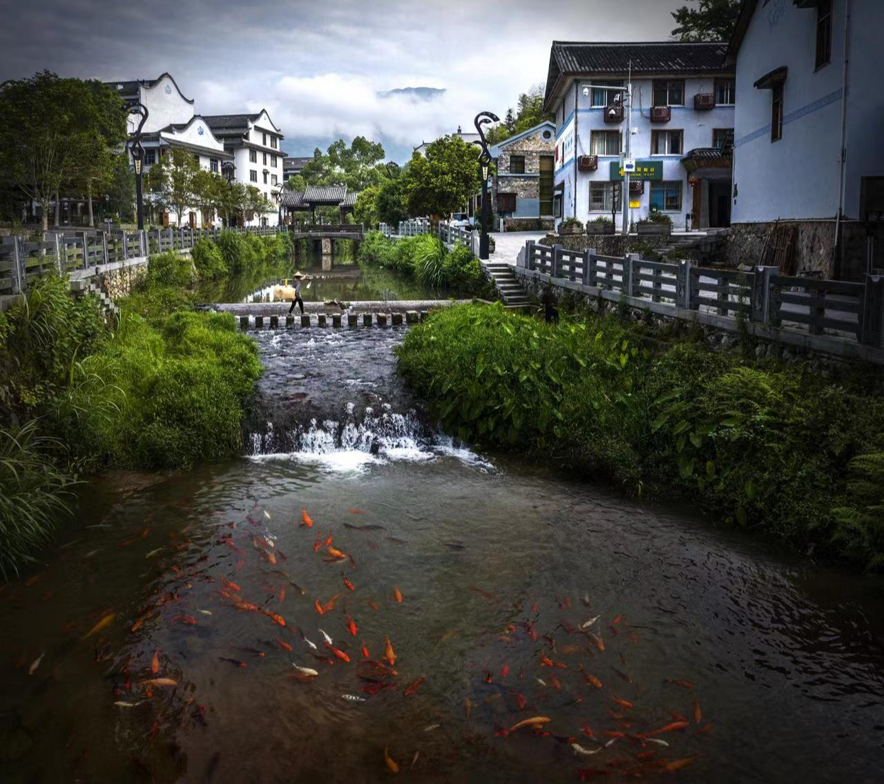 泰顺竹里:节我所"能",践行低碳——中国环境网