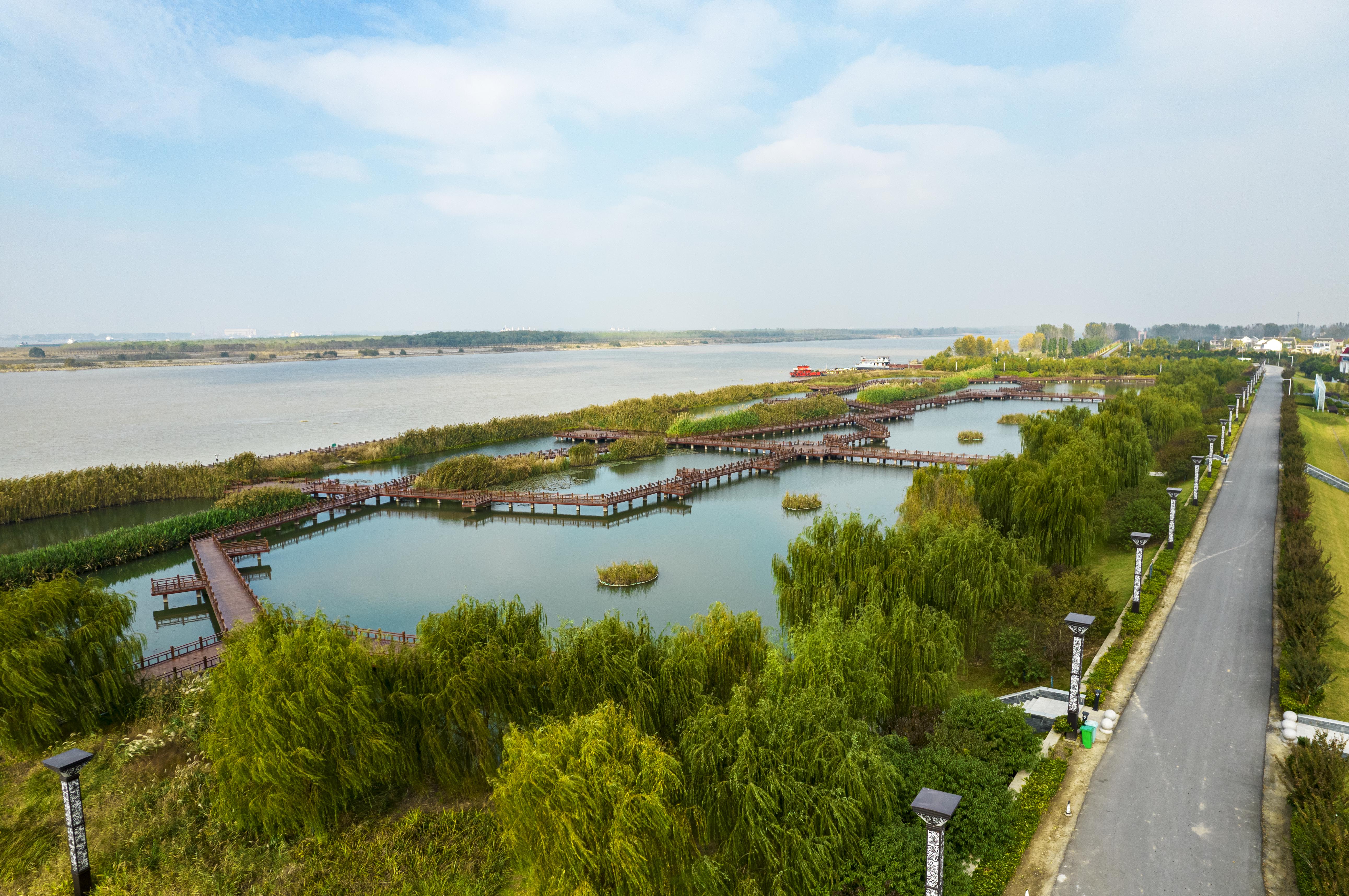 2021年11月4日拍摄的江苏省泰兴市长江边的"亲水栈道".jpg
