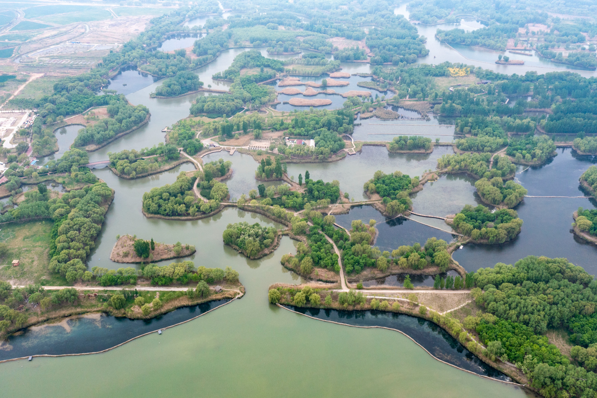 读图丨济南持续加强济西国家湿地公园资源保护——中国环境网