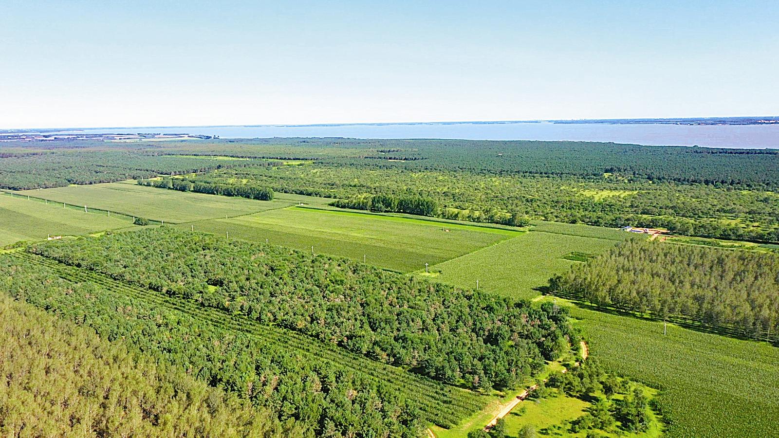 "龙江塞罕坝":65年治沙,15万亩"沙地"变"林海" ditan360.