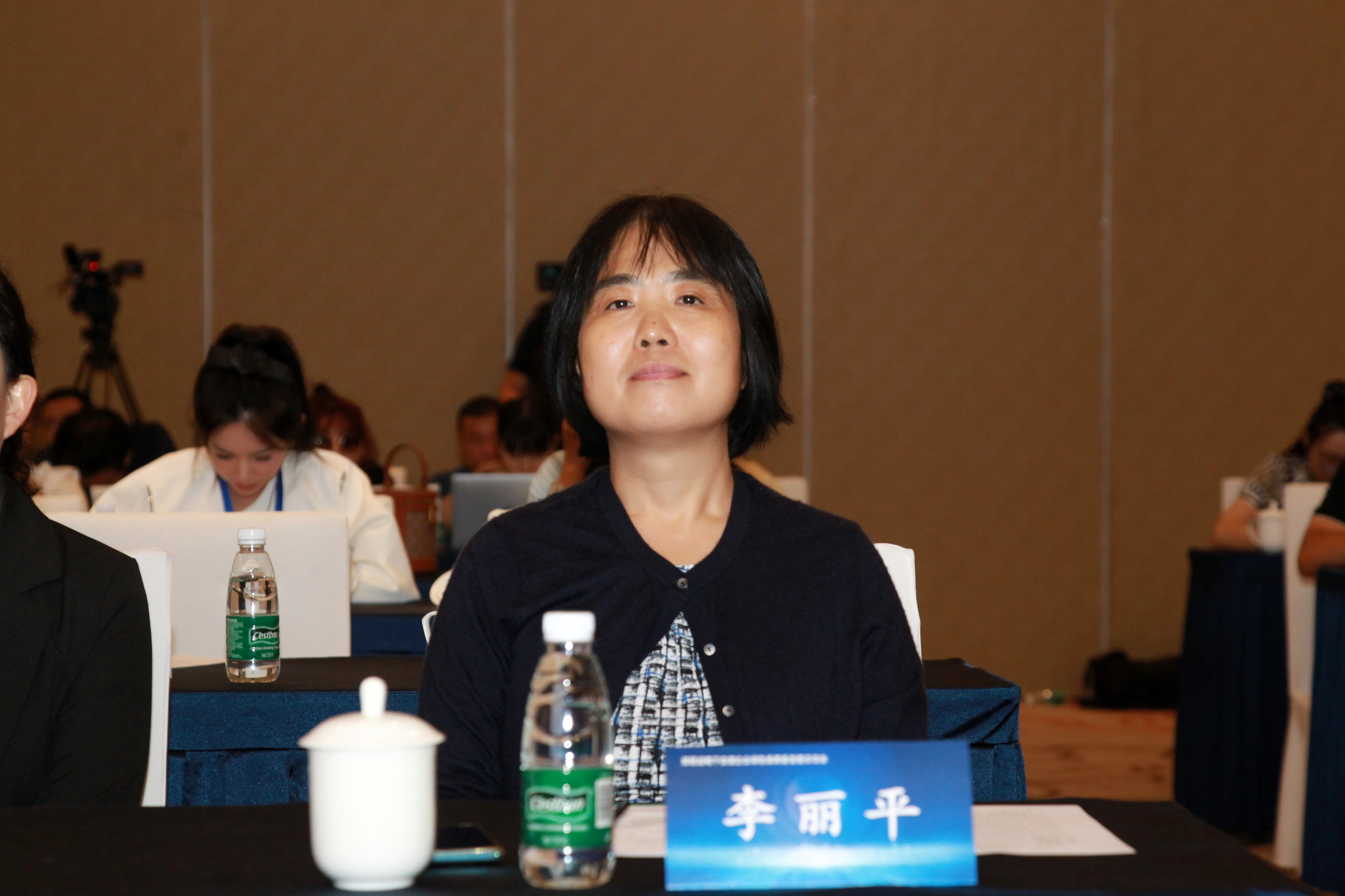 生态环境部政研中心李丽平:需要全面的减污降碳协同增效——中国环境
