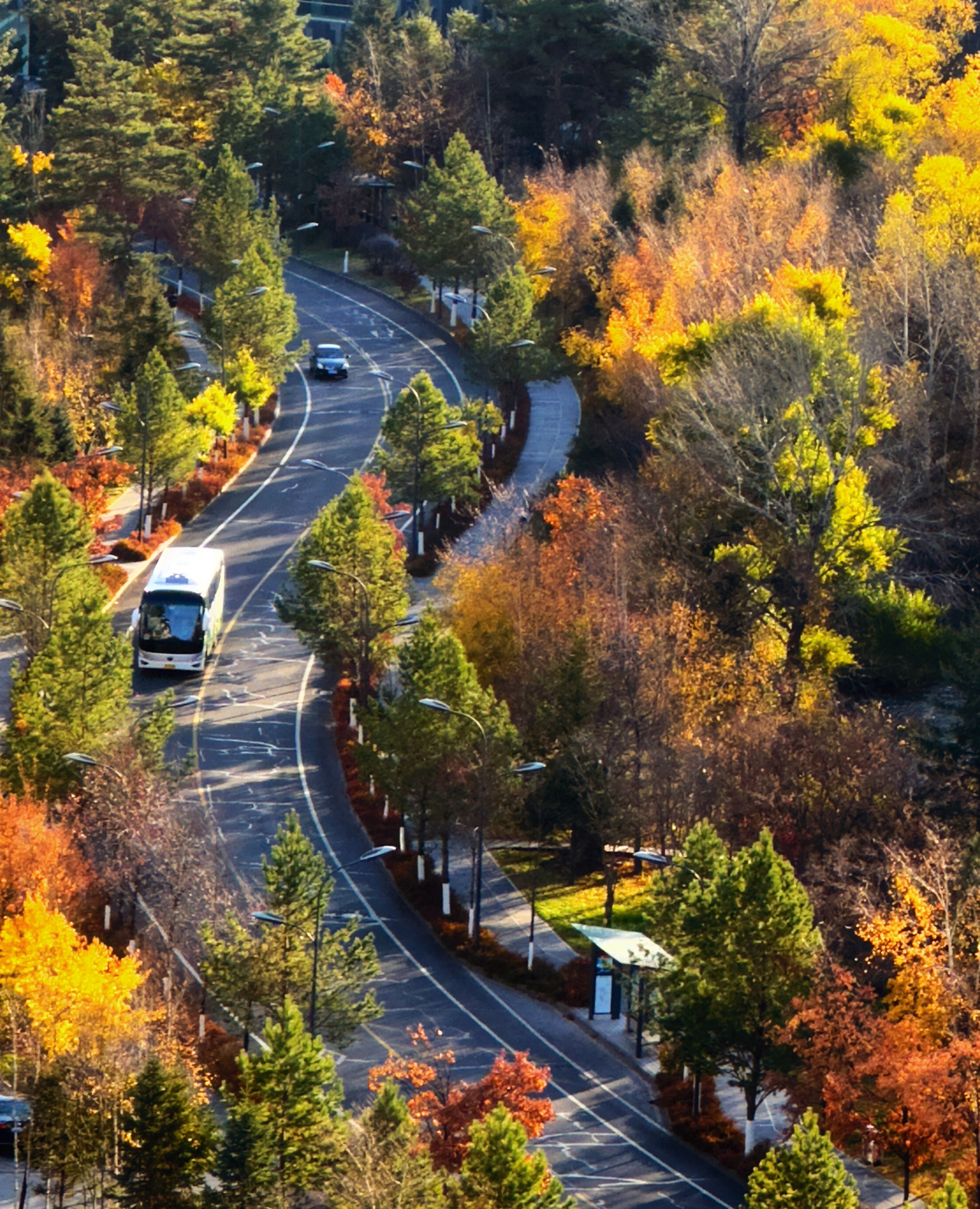 图为俯瞰长白山地区秋景五花山摄影:宿光明   文字:陈博宜 魏慧娟