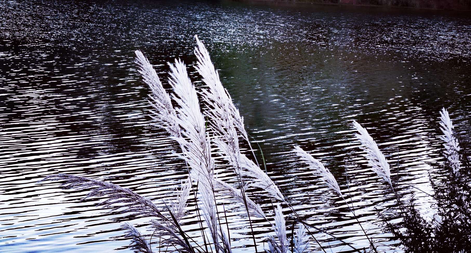 昆明长坡水库风光——中国环境网