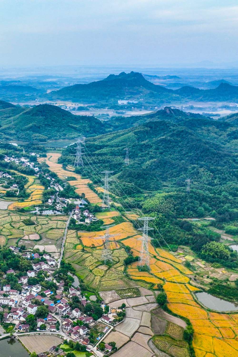 安徽芜湖:良田沃土 丰收"钱"景——中国环境网