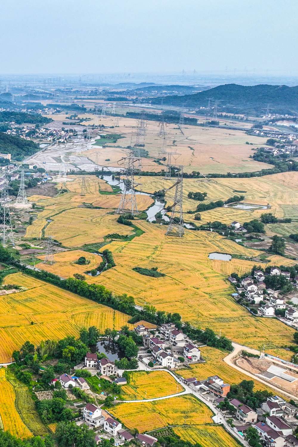 安徽芜湖:良田沃土 丰收"钱"景——中国环境网