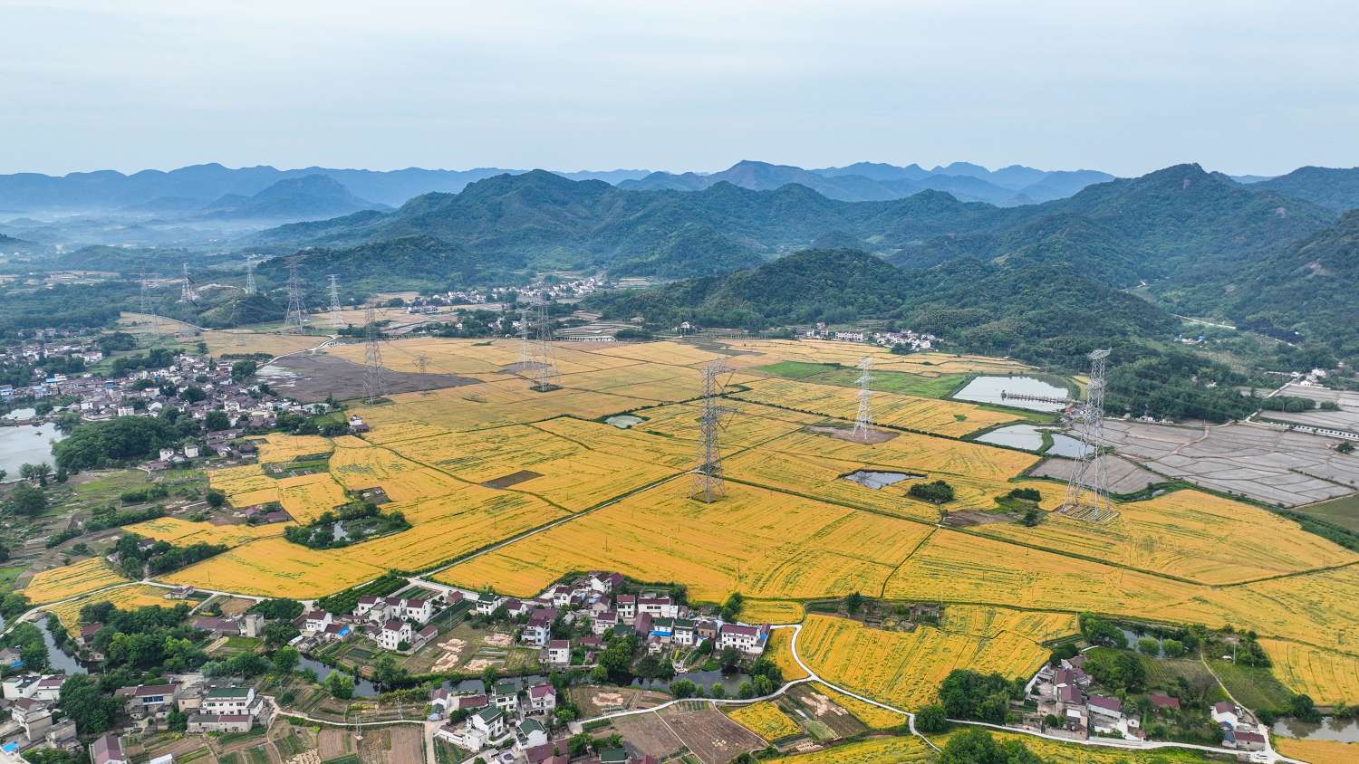 安徽芜湖:良田沃土 丰收"钱"景——中国环境网