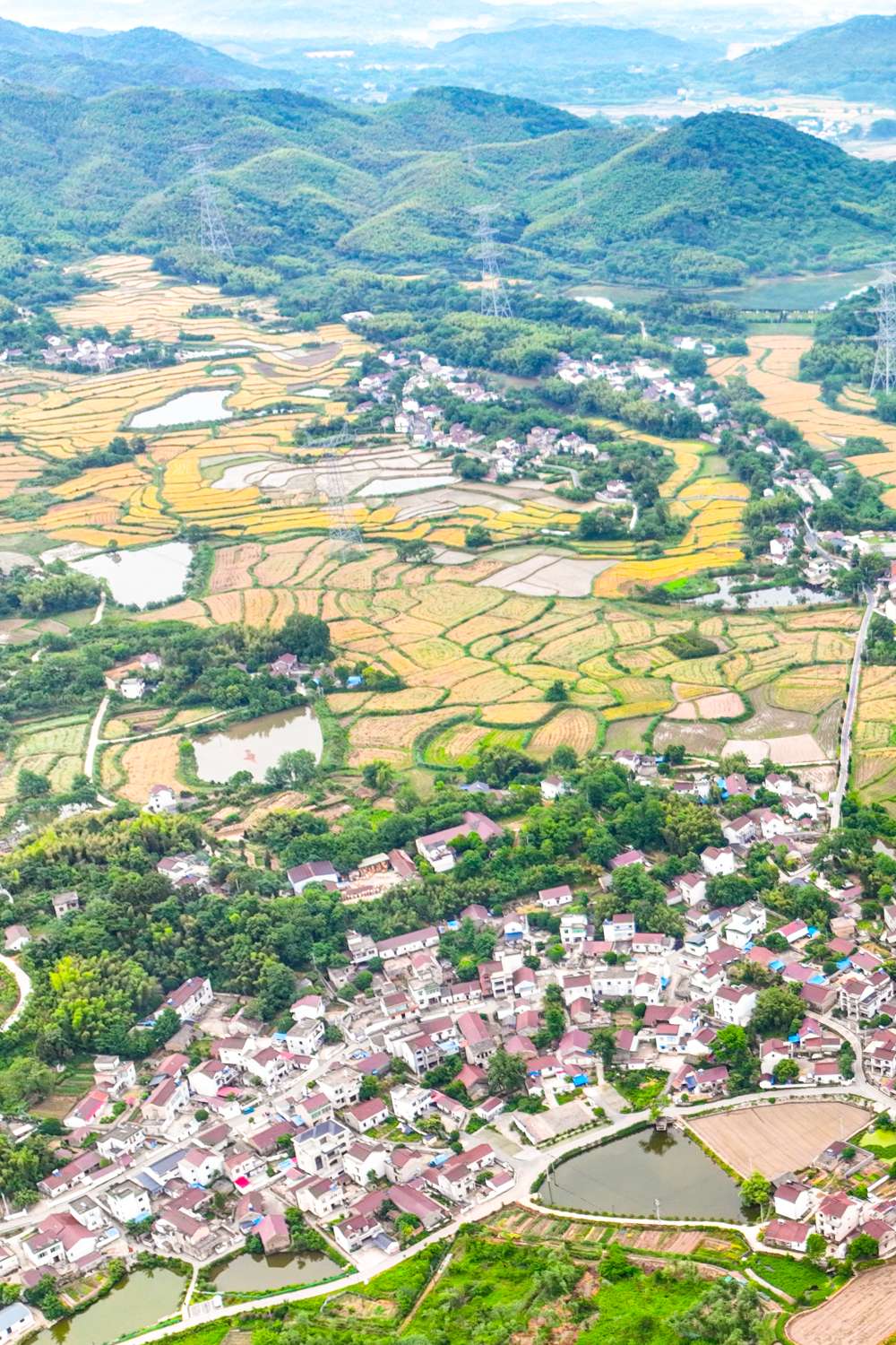 安徽芜湖:良田沃土 丰收"钱"景——中国环境网