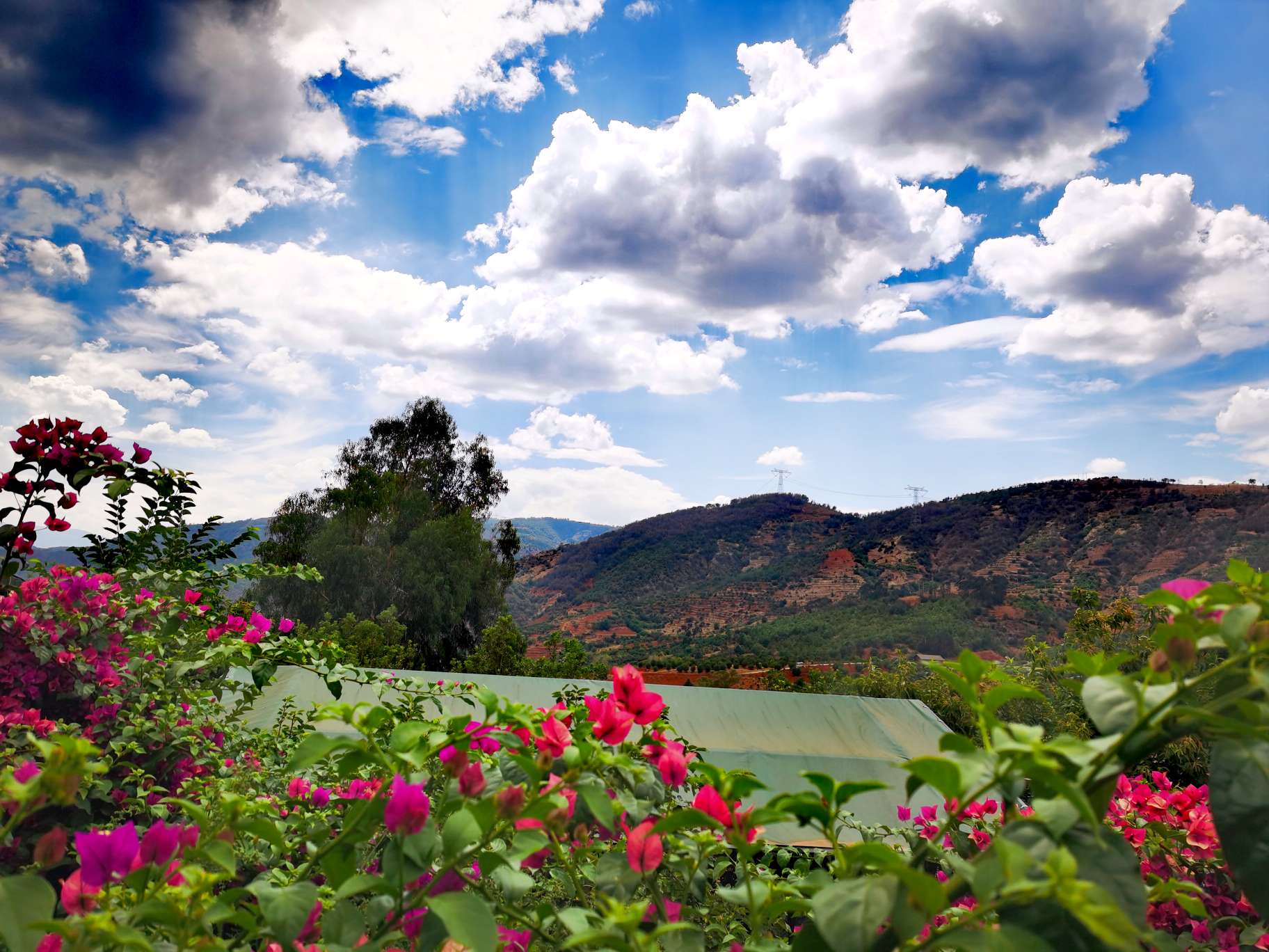乡村振兴:昆明富民半山耕云农庄——中国环境网