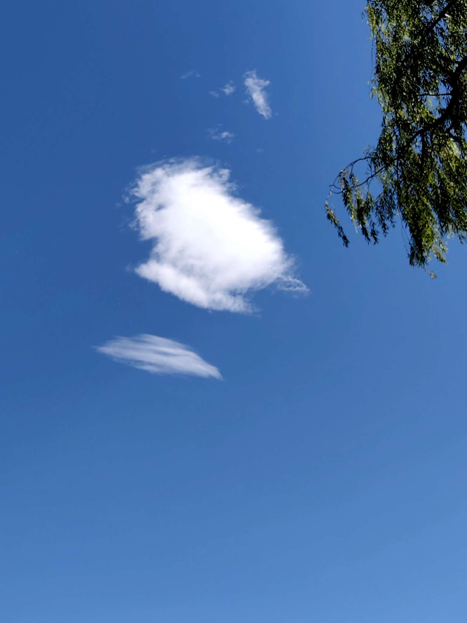 北京观景台|骄阳似火 白云如画——中国环境网