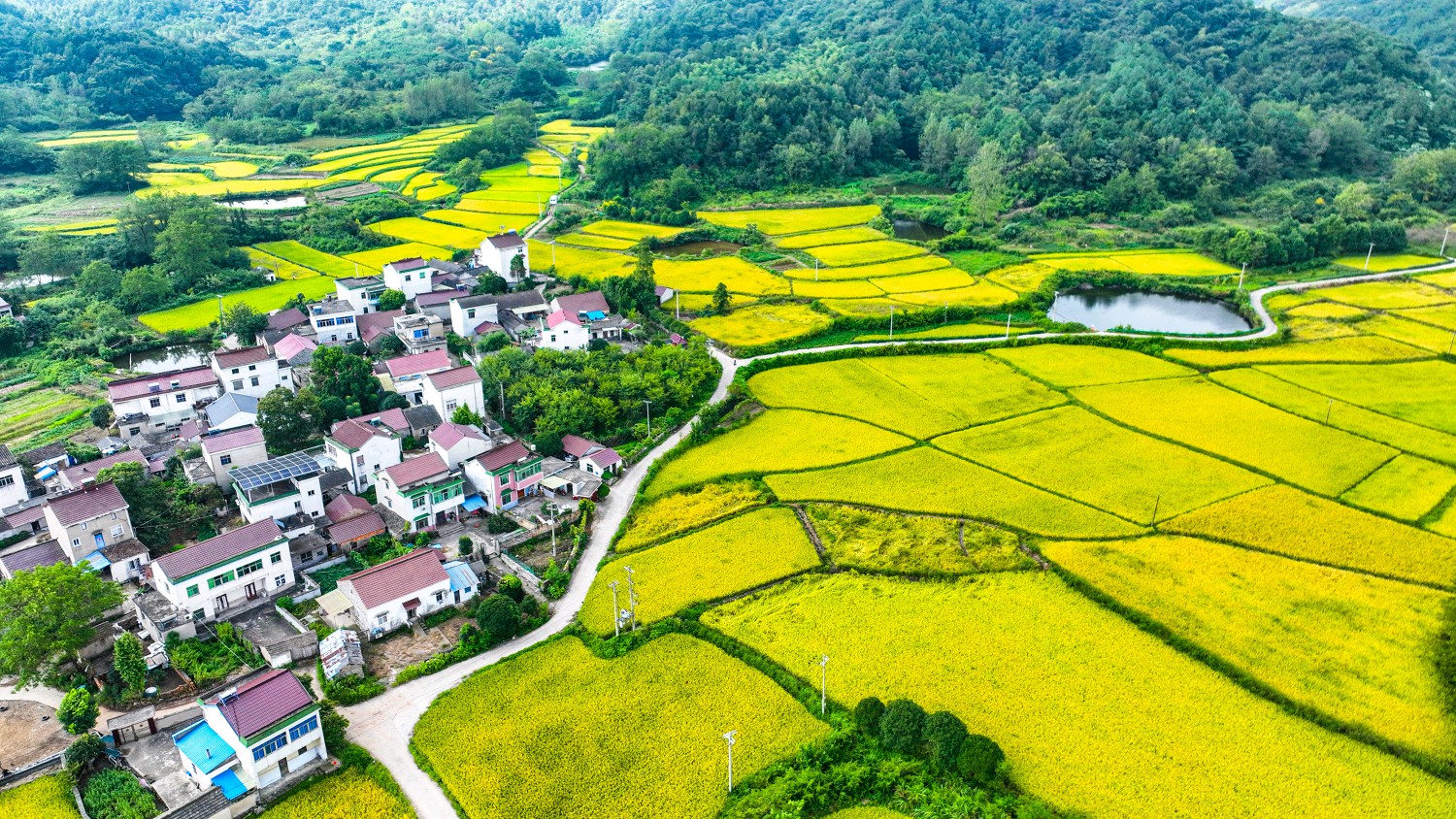 乡村田园风景图片大全图片