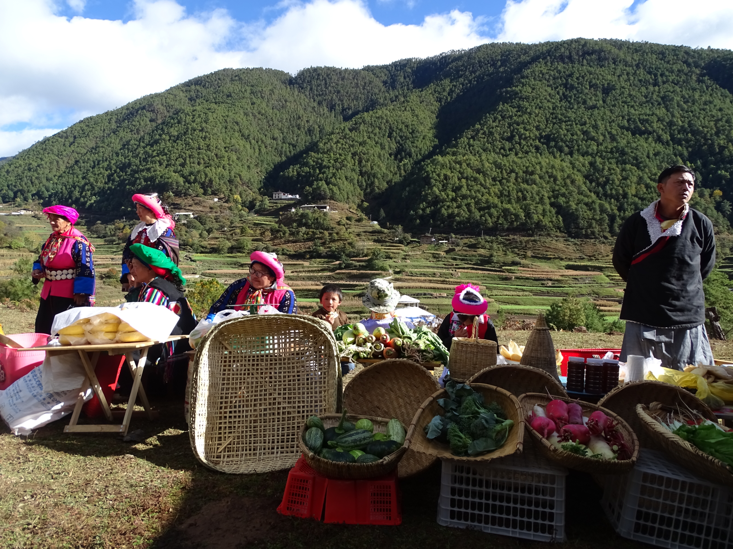 香格里拉尼汝村:守好生态秘境,打造幸福家园