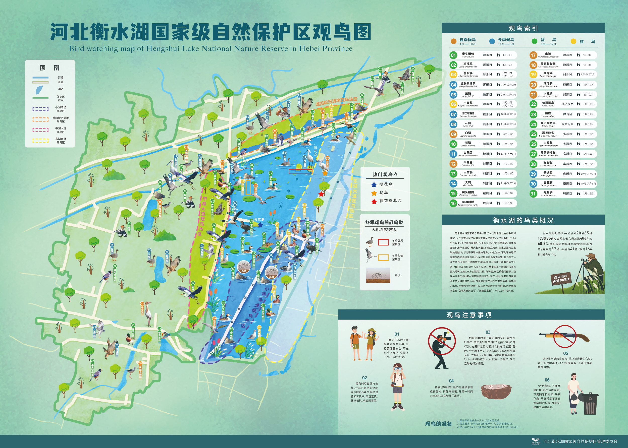 按图观鸟——衡水湖发布全季观鸟图|一起观鸟吧