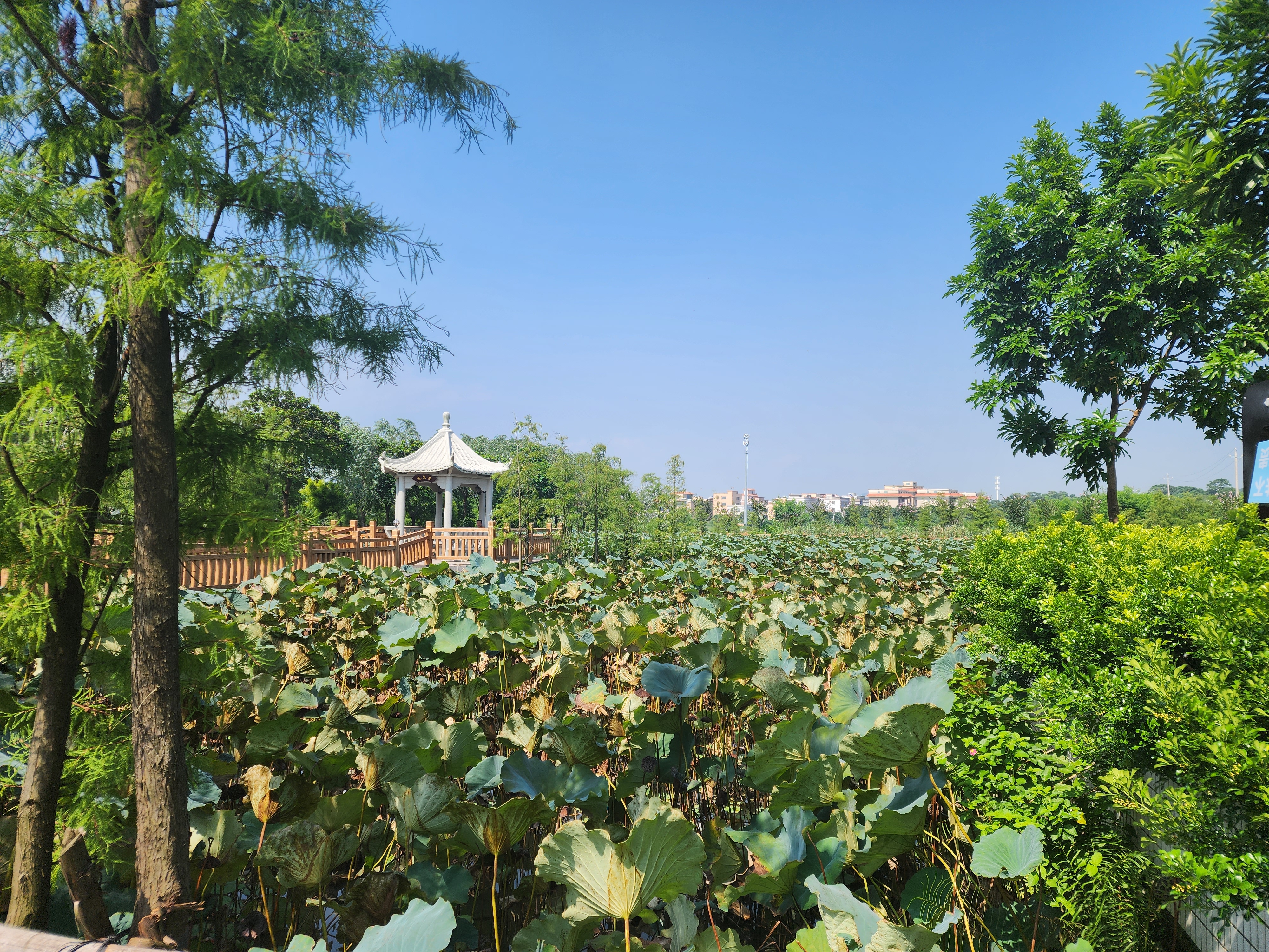 防治初雨污染,汕头练江"有一套"!