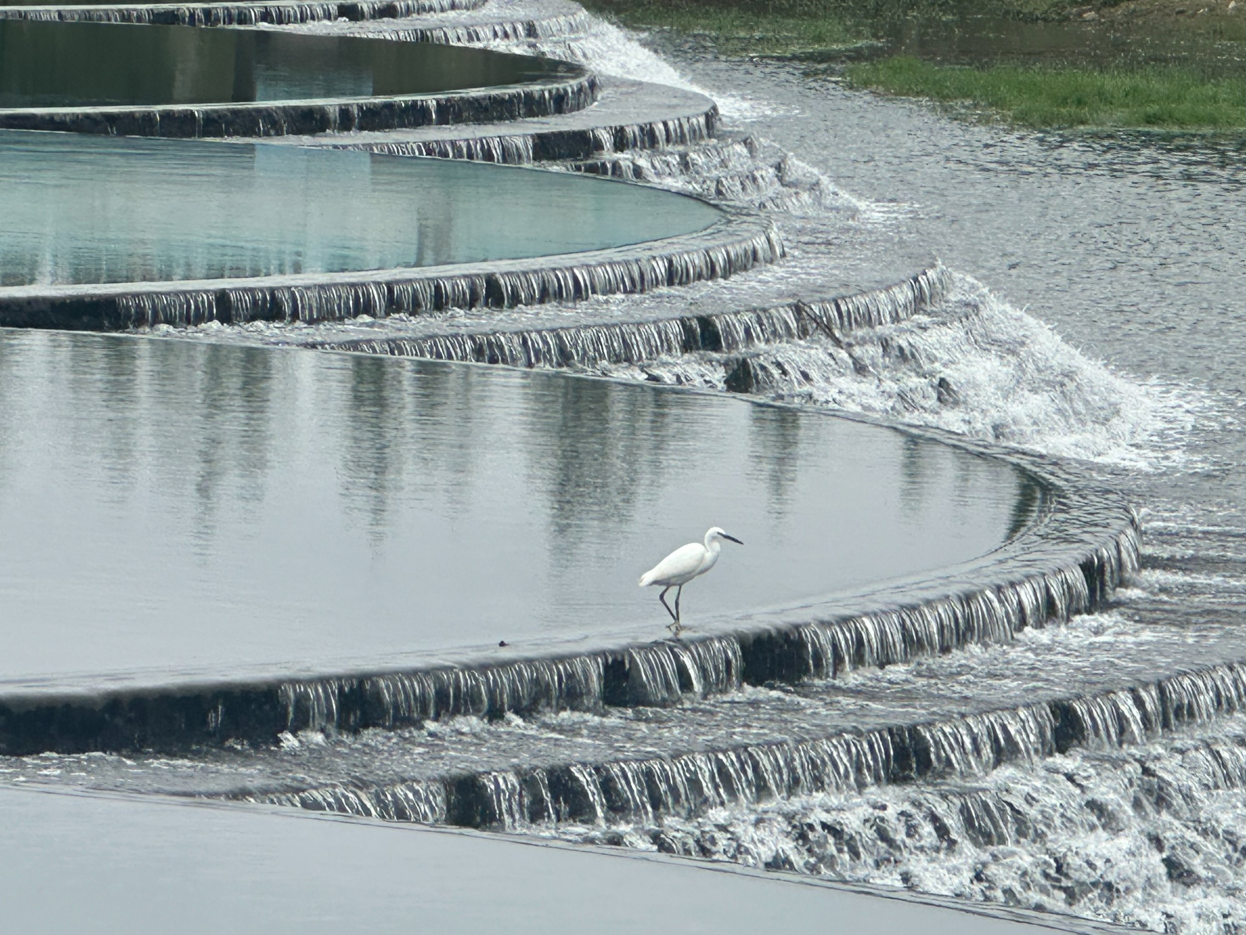 山东宁阳海子河湿地展现新风貌