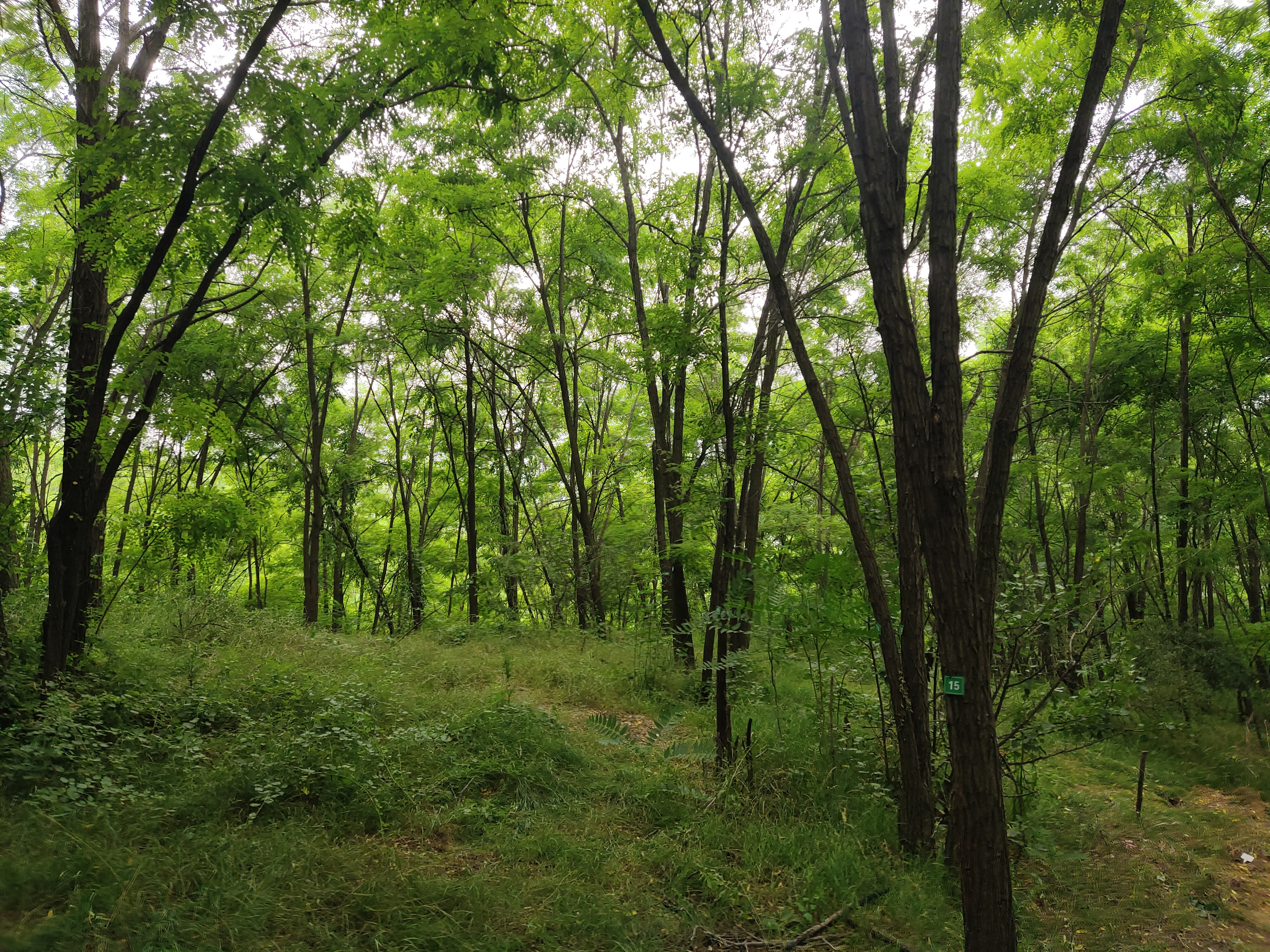 b555521c94dd3346c3fdd4ffd6a21673.jpg b555521c94dd3346c3fdd4ffd6a21673.jpg