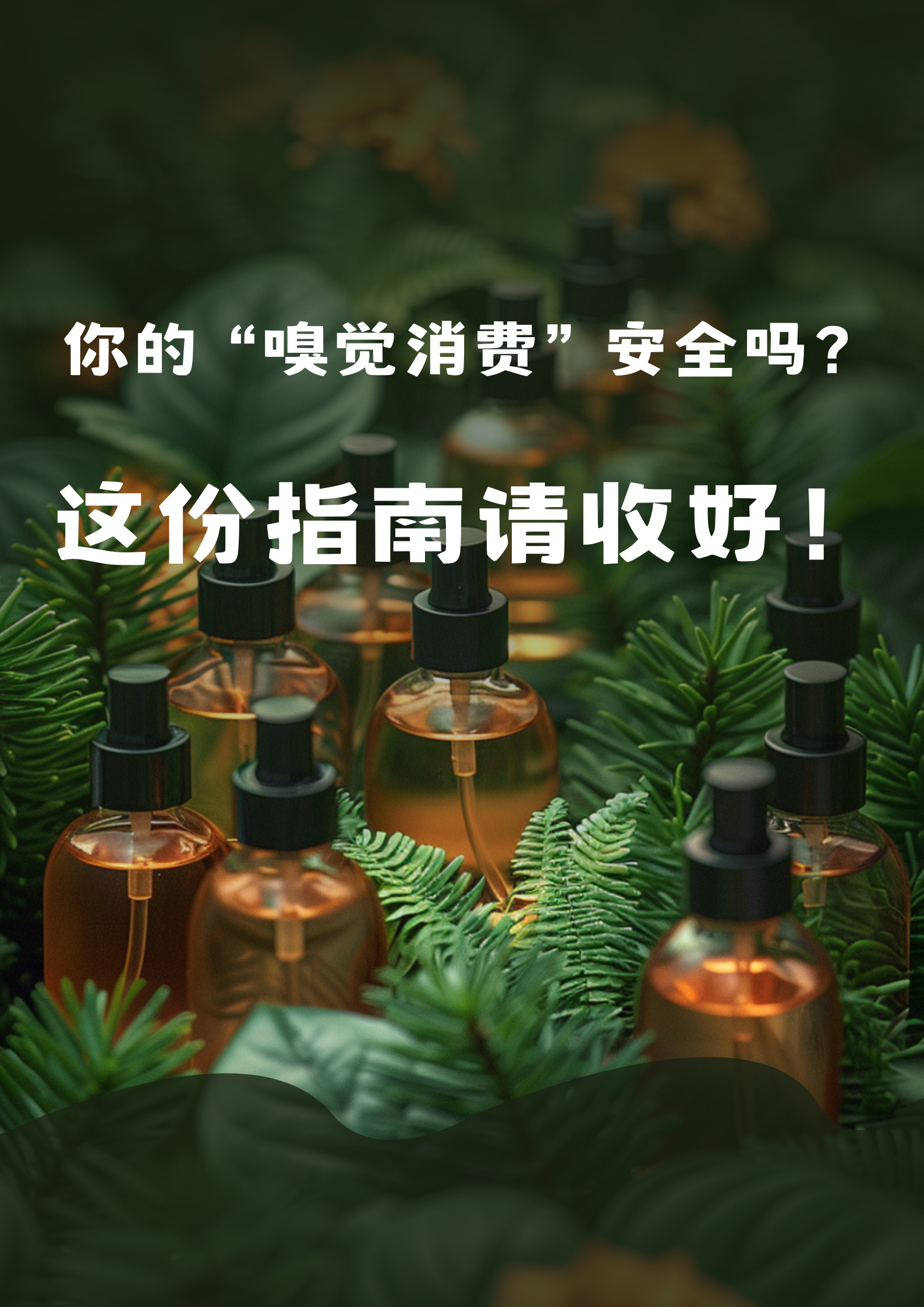 ac81e484e1408ff9c16c0dd478b6d8bc.png