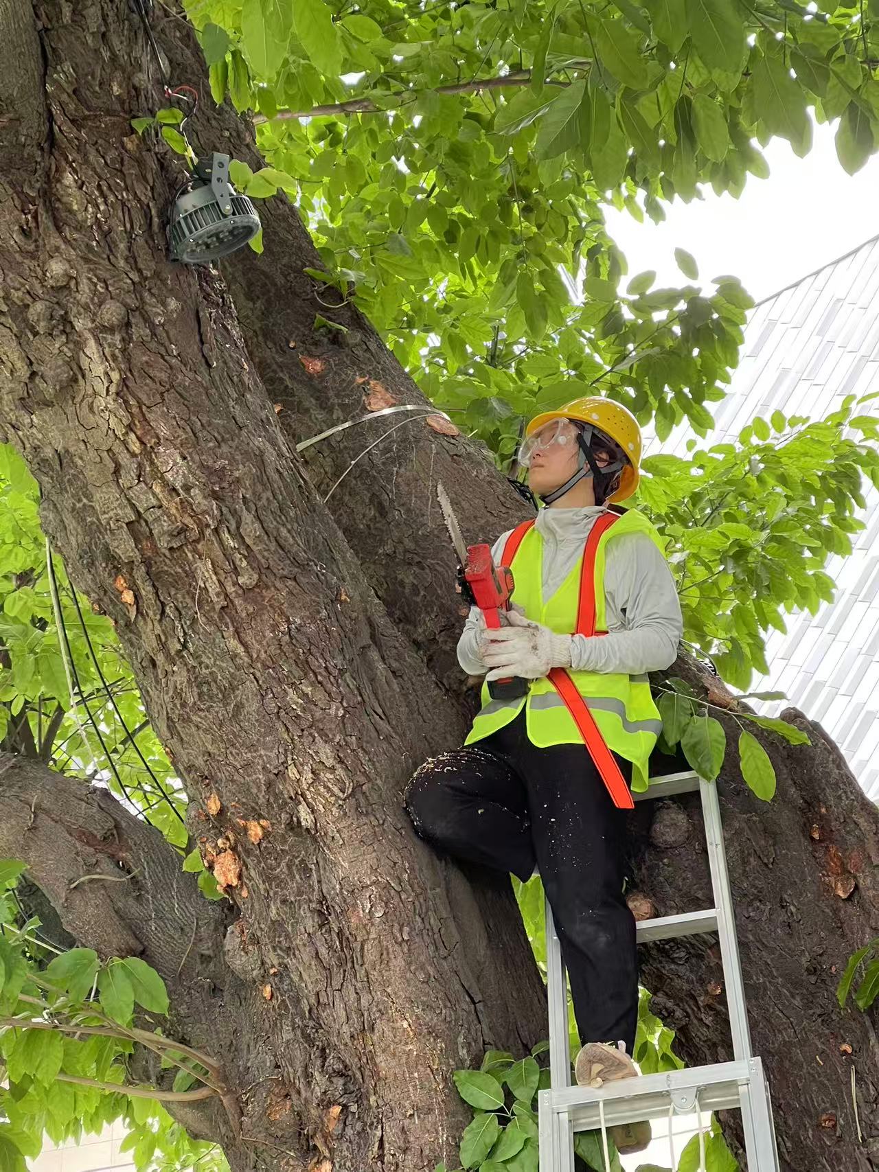 7ef1b0bfb3cac638a612d21845f78456.jpg 7ef1b0bfb3cac638a612d21845f78456.jpg