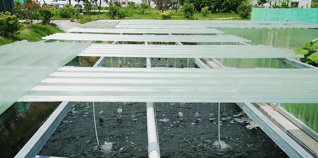 雨水通过明渠统一收集，留作灌溉、保洁用。王西辉摄