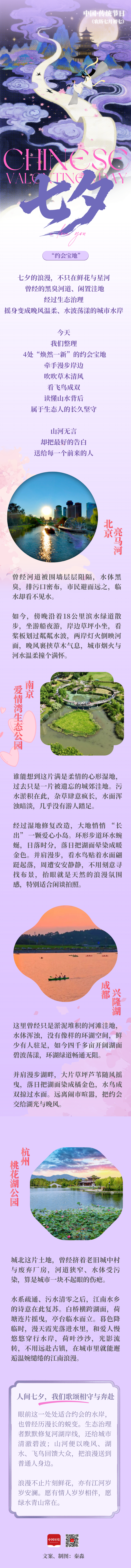 浅紫色中式插画牛郎织女七夕节日长图.png