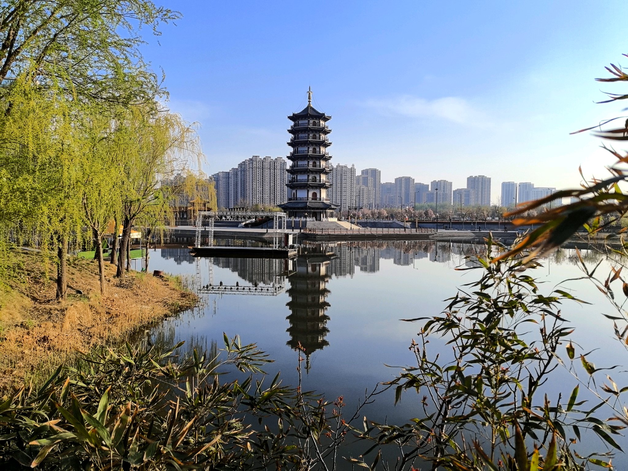 齐河:春到大清河!